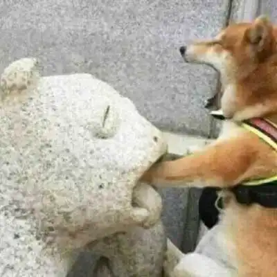 情侣微信头像图片一对柴