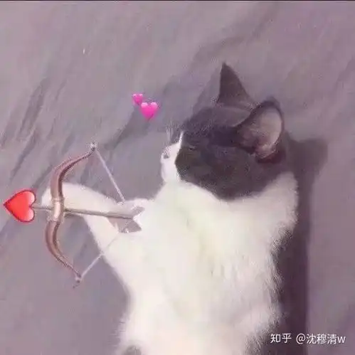  实用超可爱的自动回复文案
