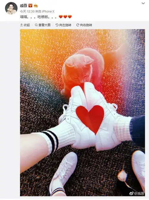  曹云金奉子成婚了妻子是人民的名义的林华华
