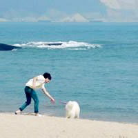  在海边的男生头像,男生在海边的qq头像精选