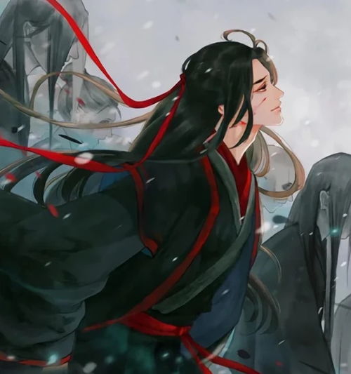  魔道祖师动画