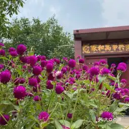  20210830历城区溪水源农家乐饭庄地址,历城区溪水源农家乐饭庄电话,历城区溪水源农家乐饭庄图片360地图