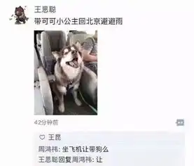  王校长一出手,全民化身柠檬精