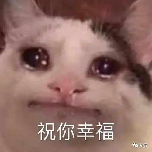  新年第一瓜张翰和郑爽复合了被扒出情侣手链情侣微博