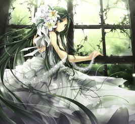  动漫人物呆萌美少女大全