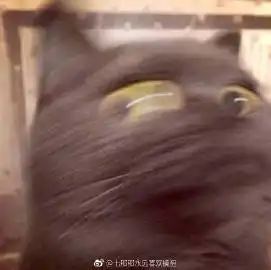  七那那永远喜欢镜狙的微博微博