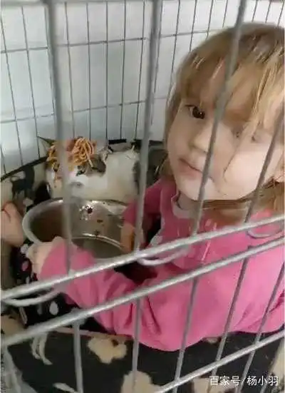  熊孩子把猫咪脑袋当炒锅,撒点葱花放点盐,猫咪全程一副厌世表情
