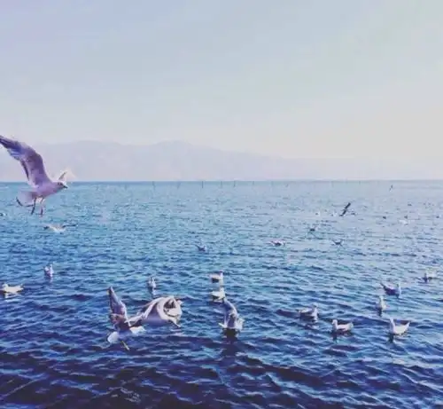  去大理旅游3天,有什么好的攻略吗