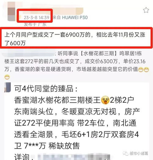  来势汹汹,深圳学区房又重振旗鼓了