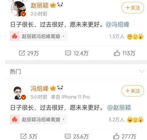  曝85后女星曾给金主当小三,与男星假结婚生下儿子,赵丽颖躺枪