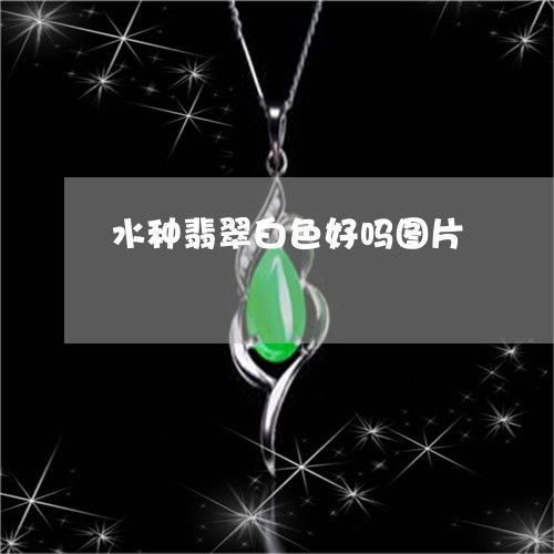  干货水种翡翠白色好吗图片水种翡翠是什么意思2023已更新推荐今日热点翡玉专栏