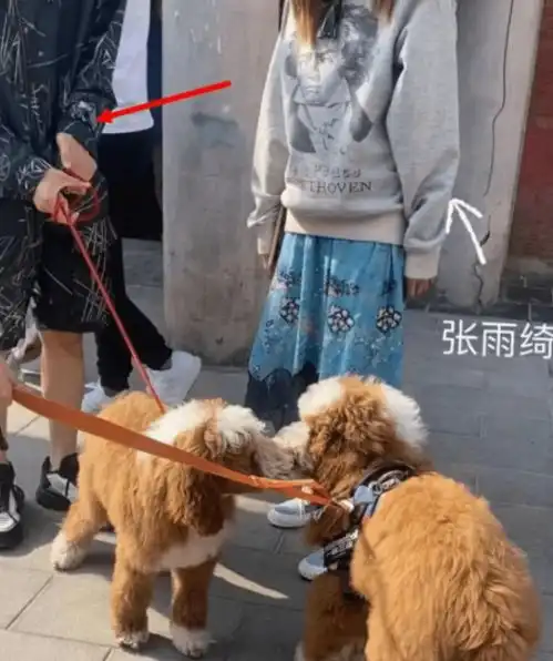  张雨绮现身拍戏,一身黑色西装霸气干练,怀抱婴儿姿势娴熟会哄娃