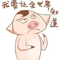 小猪情侣头像猪年