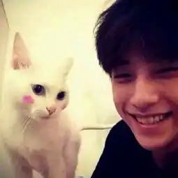 猫的情侣头像男生