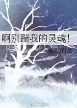  啊别踹我的灵魂嗷嗷的龙