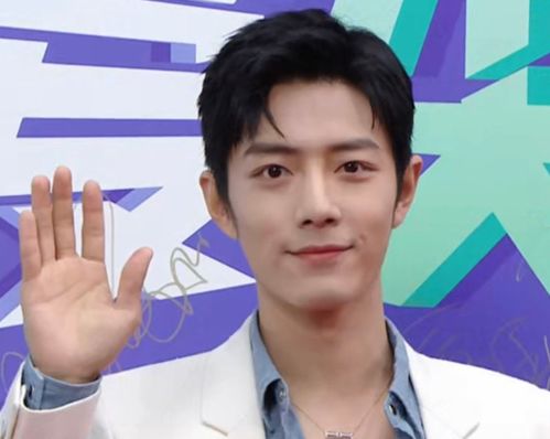  为爱尖叫男星红毯图,肖战蔡徐坤帅气,生图都自带美颜