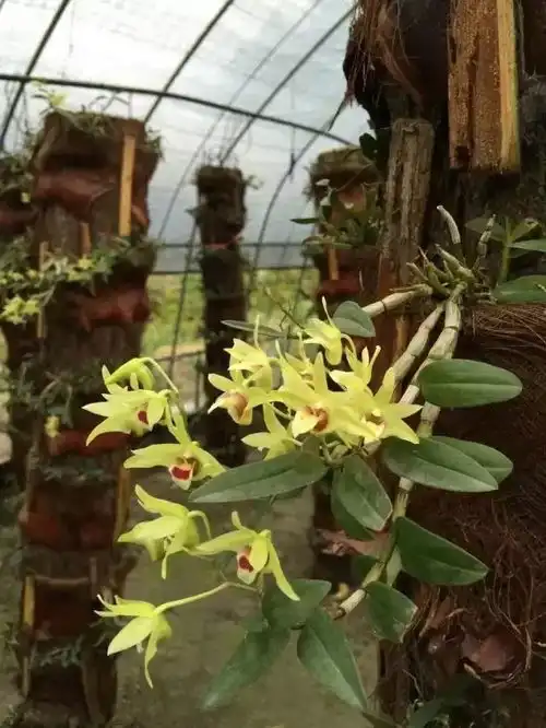  儿童节免费,带孩子去这个景区感受快乐童年