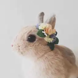  自己不会过,才会怨生活