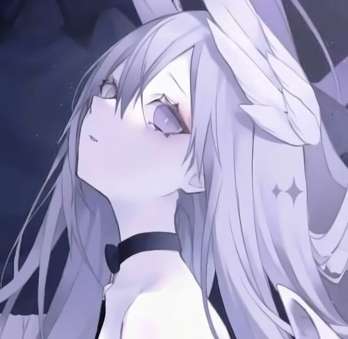  无标题