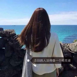  黄鹤楼视频直播全集黄鹤楼资料大全yy官方