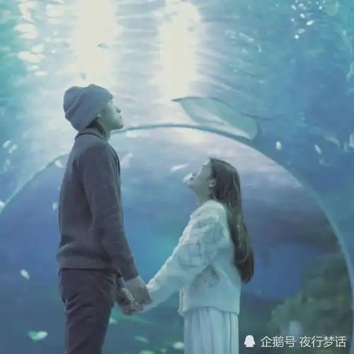  撒贝宁现场催婚李佳琦,你打算什么时候娶她