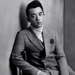  王凯郑凯蒋劲夫盘点2015年最具潜力的十大男星