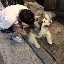 抱猫的情侣头像男生