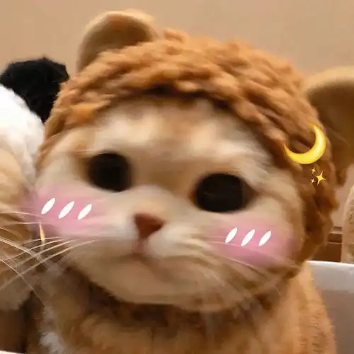  换上情侣头像,就是我的人