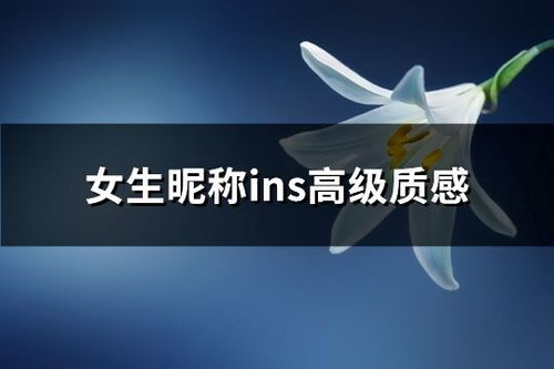  女生昵称ins高级质感精选210个