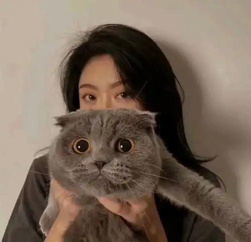  温柔且励志的干净文案