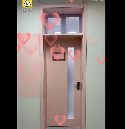  陕西高校为新生打造小清新宿舍,女生惊呼太少女,网友们酸了