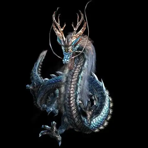  2022龙头像图片