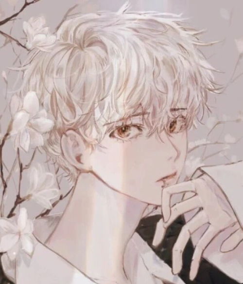  动漫男生头像花谢花飞飞满天,红消香断有谁怜