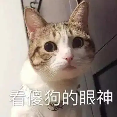  情侣头像丨萌宠情头