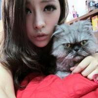  抱猫的女生头像唯美微信头像图片大全