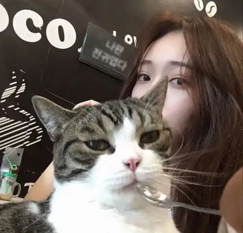 抱猫的情侣头像女生