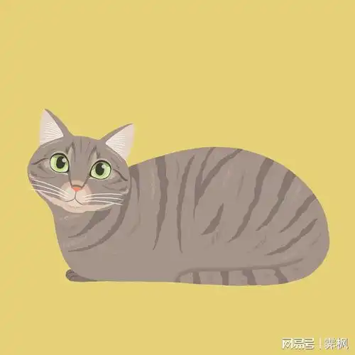 胖猫猫壁纸和头像