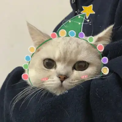 搞笑萌宠