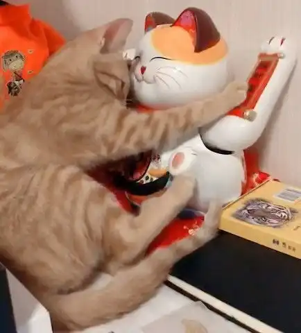  橘猫紧紧搂住招财猫不要再摇了,陪我玩,我养你