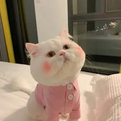  qqwx意境背景图