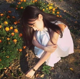  百田素材圈