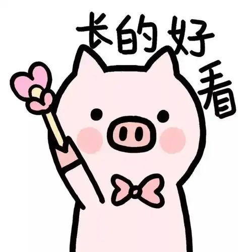 康姆奥跟着小站来吸猪