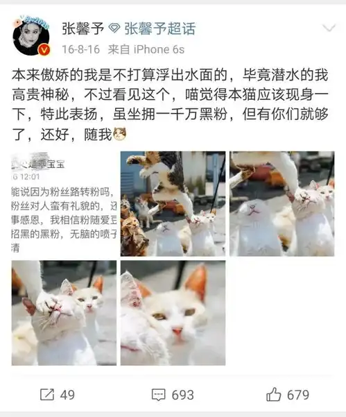  张馨予和猫穿情侣装,网友好想做姐姐手里的猫