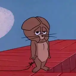 猫和老鼠的头像情侣版猫