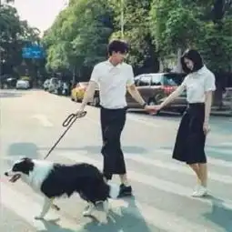  一个男的牵着一个女的男的手里牵条狗情侣头像