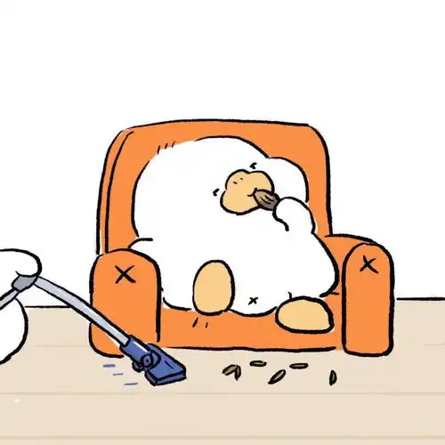  鸭鸭情头呀oo