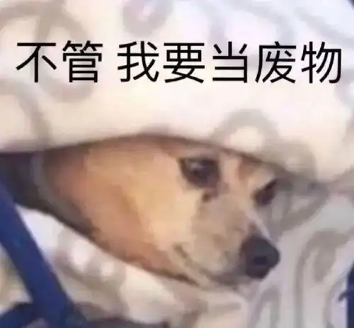  表情包不是这样的,你听我狡辩
