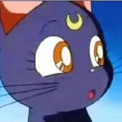 美少女战士露娜猫头像图片大全