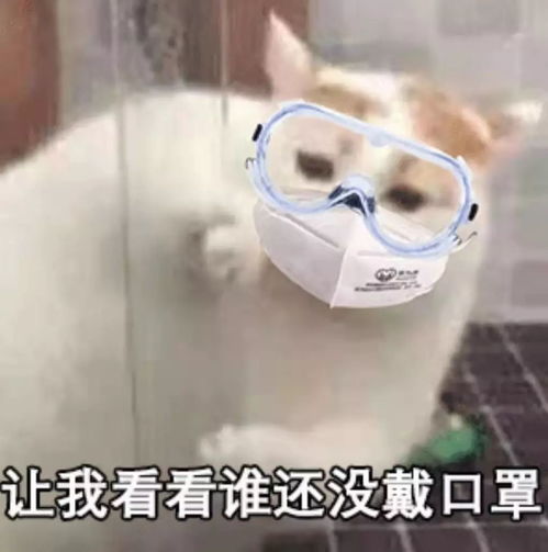 男生戴口罩头像疫情