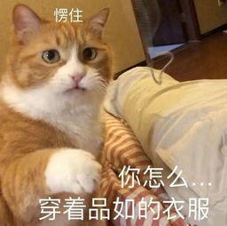  发型对一个女生有多重要堪比换脸